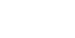 MEDIA TRAINING